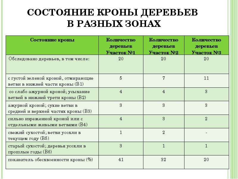 Состояние древесины. Категории санитарного состояния деревьев. Таблица состояния деревьев. Оценка состояния деревьев. Характеристика состояния деревьев.