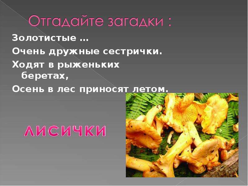 Грибы 2 класс. Сообщение о грибе 2 класс литературное чтение. Доклад про грибы 2 класс литературное чтение. Загадки золотистые очень дружные сестрички.