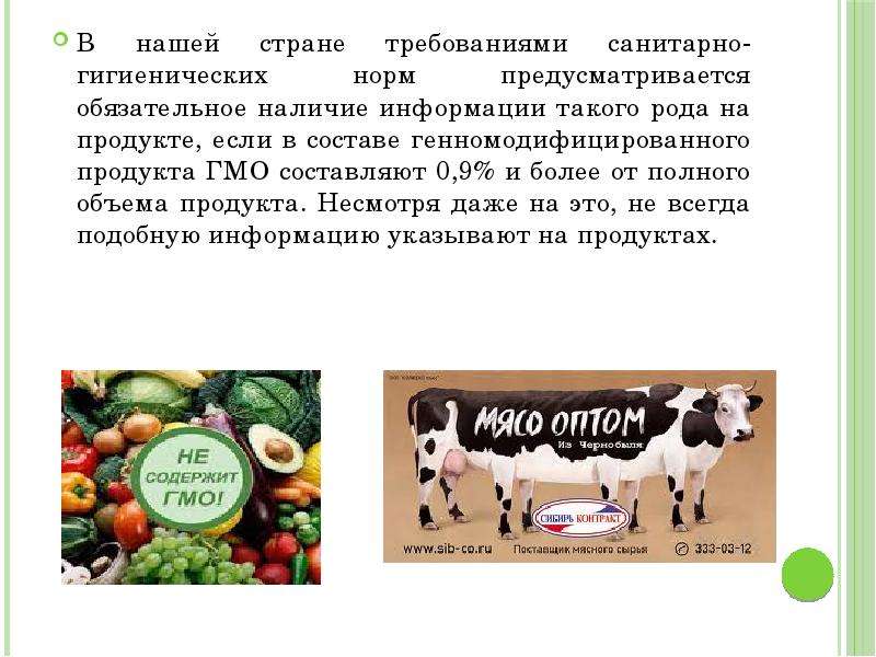 Генномодифицированные продукты питания презентация