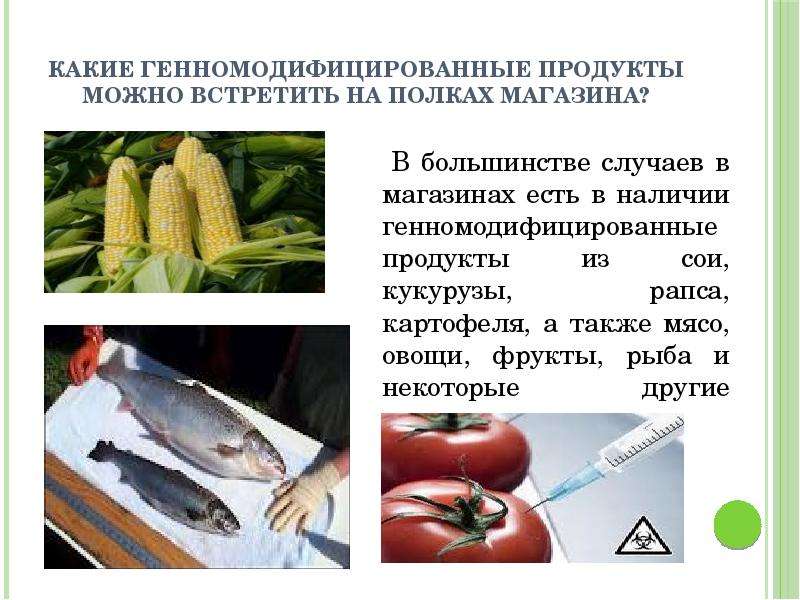 Генномодифицированные продукты презентация