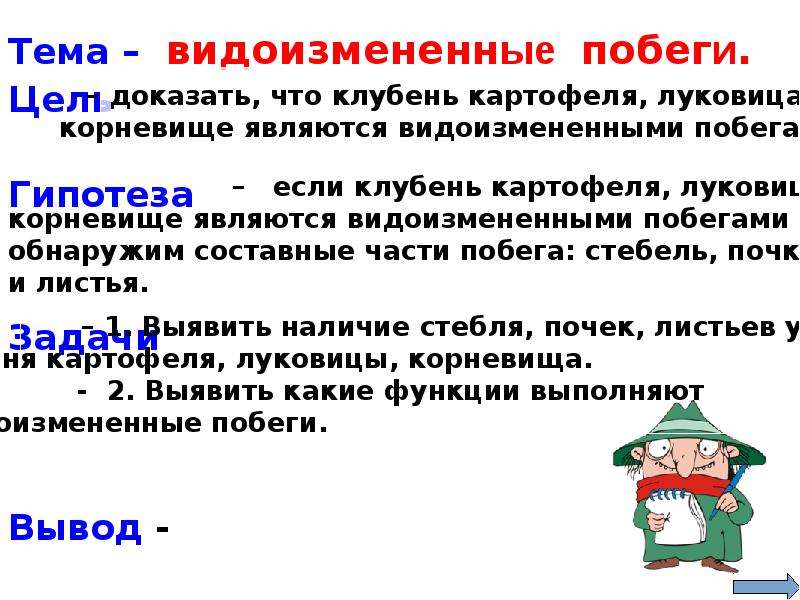 Вывод докажите что луковица видоизмененный побег. Докажите что клубень картофеля видоизмененный побег. Докажите что клубень видоизмененный подземный побег. Доказать что корневище клубень и луковица видоизмененные побеги. Докажите что луковица видоизмененный подземный побег.