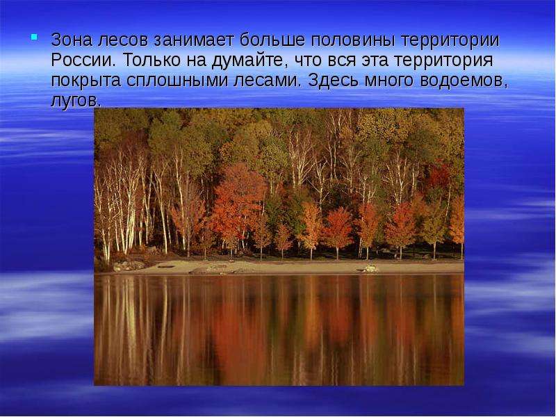 Эта природная зона занимает более половины территории. Леса занимают больше половины территории России. Самую большую территорию в зоне лесов занимает. Лесные зоны 8 класс. Леса занимают половину России.