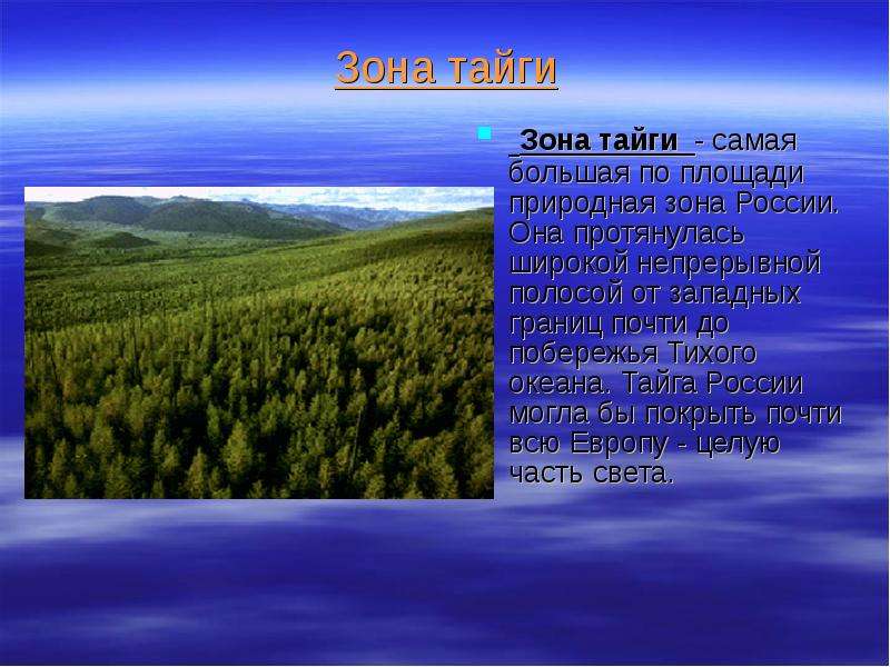 Тайга самая большая по площади природная зона. Зона тайги в России. Тайга природная зона. Самая крупная природная зона России. Зона тайги - самая большая.