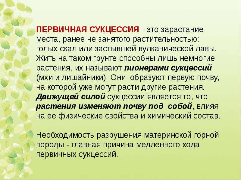 Общая экология биология. Субстратом для начала первичной сукцессии могут служить. Характеристика первичной сукцессии. Вывод сукцессии. Первыми фотобионтами в первичной сукцессии являются.