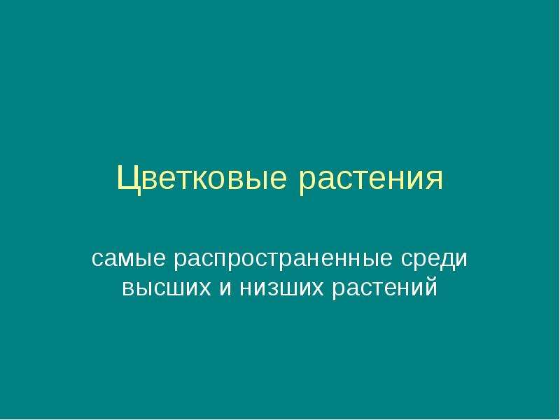 Самыми распространенными среди которых. Среди растений наиболее распространены. Среди растений наиболее распространены ответ.