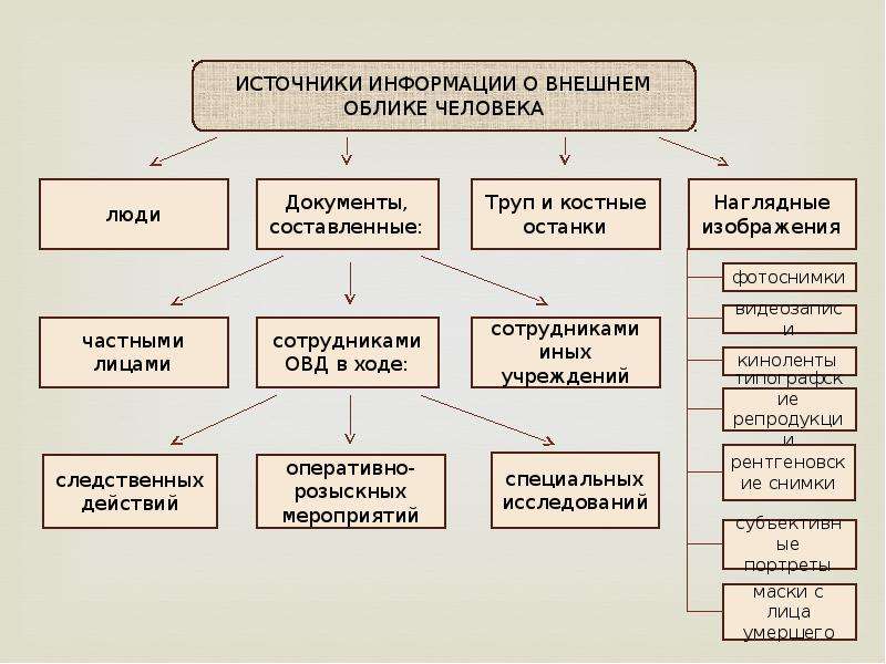 Признаки внешности человека. Классификация признаков внешнего облика человека в криминалистике. Источники информации о внешнем облике человека. Источники информации о внешнем облике человека криминалистика. Источники информации о признаках внешнего облика человека.