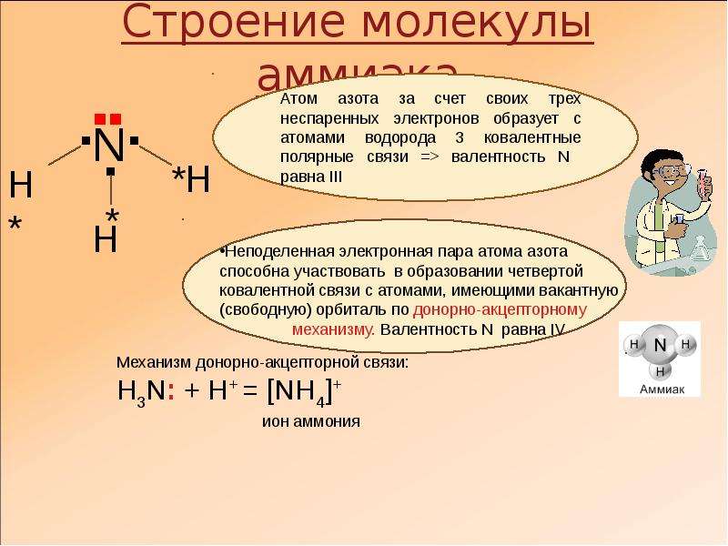 Схема образования аммиака