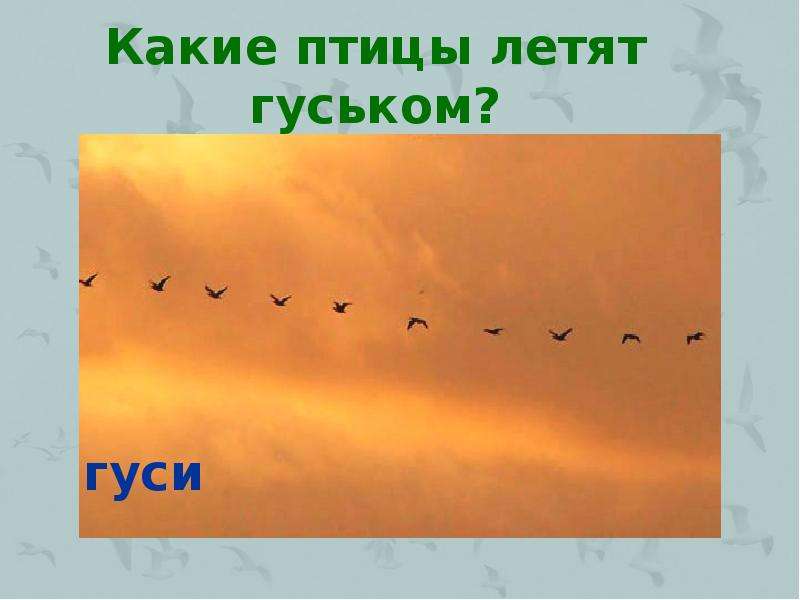 Ритмическое изображение летящих птиц 2 класс