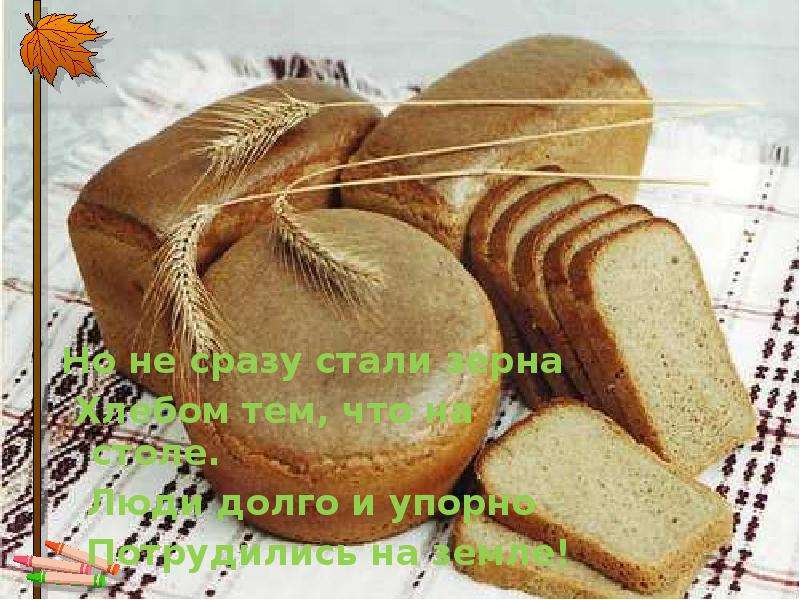 Но не сразу стали зерна Но не сразу стали зерна Хлебом тем, что на столе. Люди долго и упорно Потруд