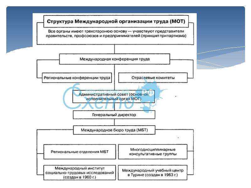 Органы организации труда. Организационно правовая структура МАГАТЭ схема. Международная организация труда структура. Структура международнойорагнизации труда. Структура мот.