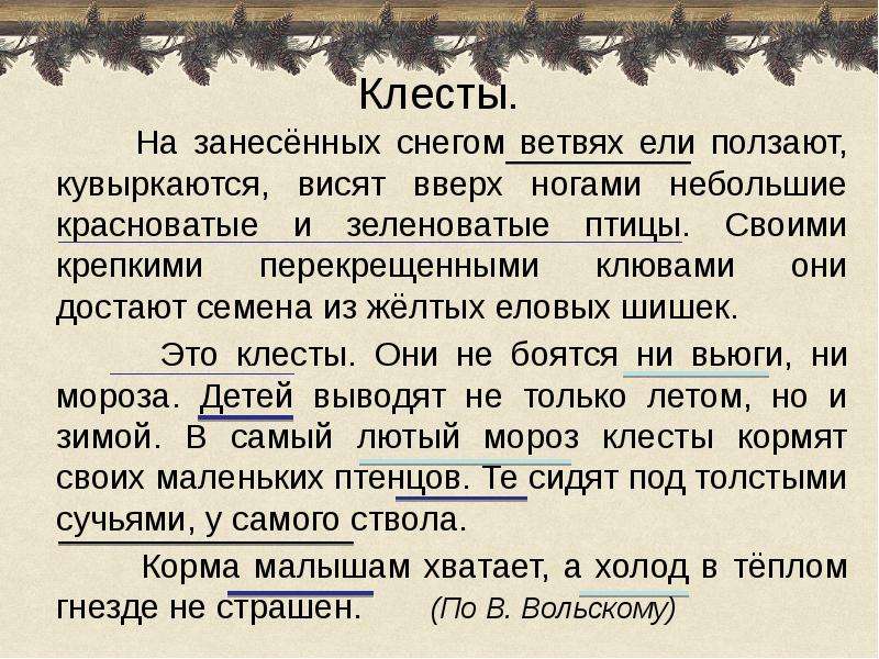 Обучающее изложение 3 класс клесты презентация 3 класс