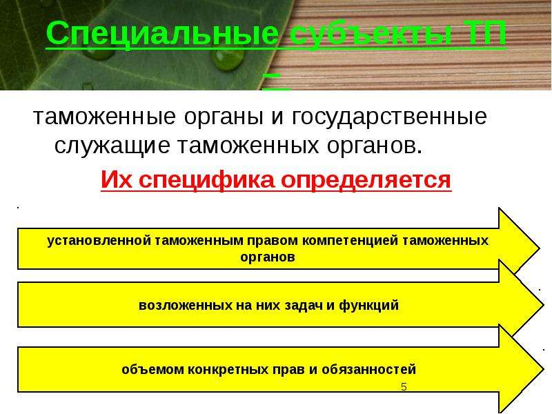 Специальный статус. Субъекты таможенного права. Перечислите субъекты таможенного права. Общие и специальные субъекты таможенного права. Классификация субъектов таможенного права.