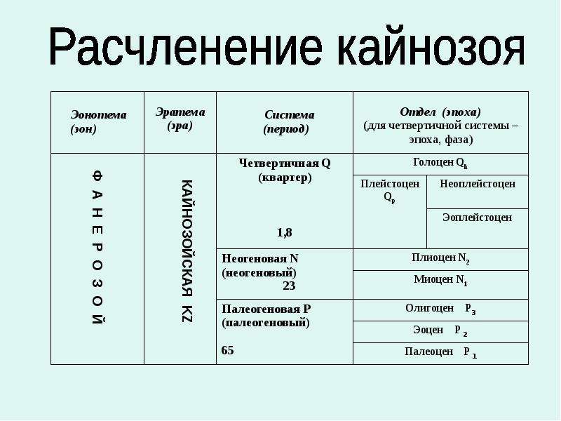 Презентация о кайнозойской эре