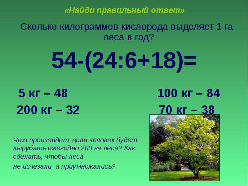 Баллы гектары. 1 Гектар леса. Гектары в кг. Сколько кислорода выделяют леса. 1 Гектар леса это сколько.