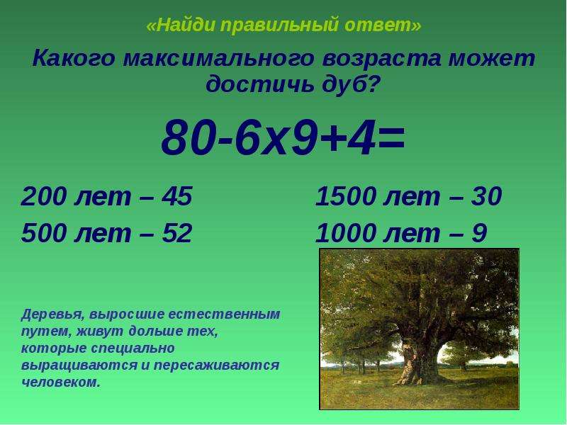 Какой максимальный возраст был. Максимальный Возраст дуба. Максимальный Возраст Дубов. Какое дерево живет 200 лет. Дуб Возраст жизни.