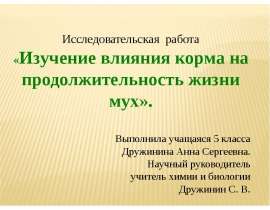Исследовательская работа « Изучение влияния корма на продолжительность жизни мух». Выполнила учащаяся 5 класса Дружинина Анна Сер