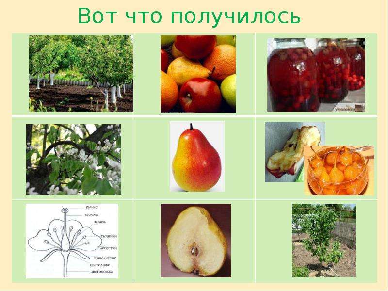 Системный оператор триз в детском саду пример картинки