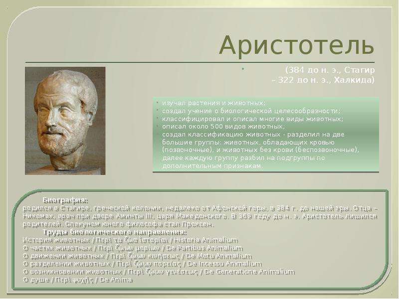 Аристотель (384 до н. э. , Стагир – 322 до н. э. , Халкида)