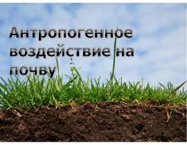 Презентация "Антропогенное воздействие на почву" - скачать презентации по Экологии