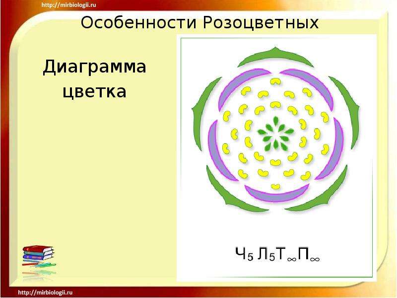 Диаграммы семейств растений