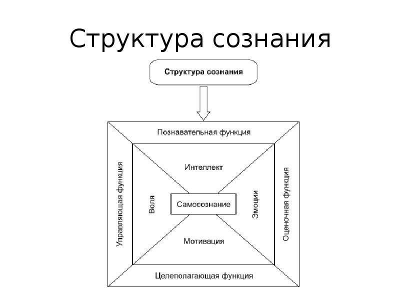 Обобщенную схему характеристики сознания человека в психологии