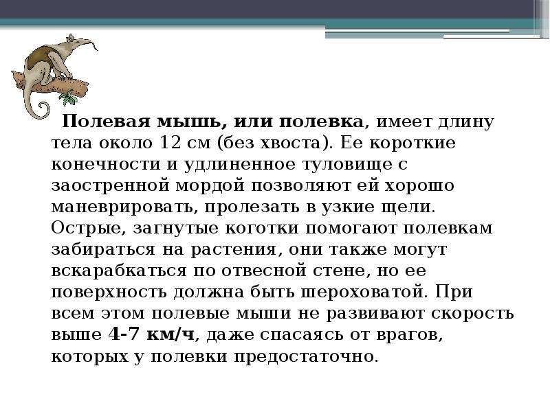 Полевая мышь убегает от змеи. Скорость мыши Полевая. Полевая мышь убегает от змеи скорость движения. Скорость передвижения змеи.