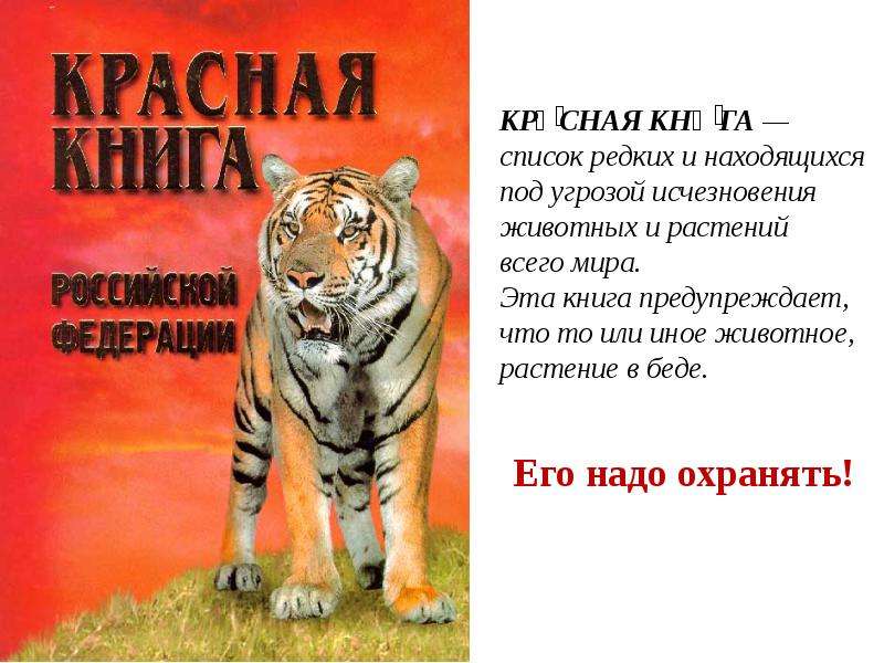 Животные красной книги презентация 7 класс