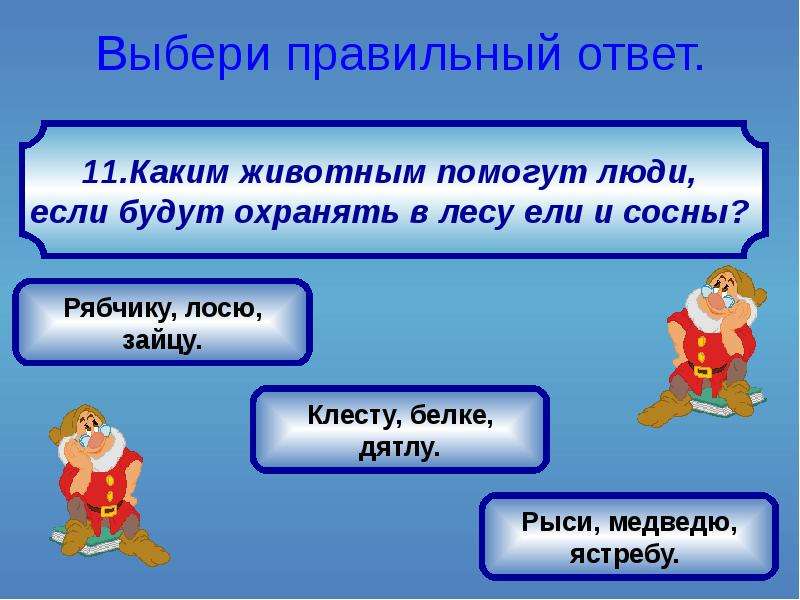 Выбери 4 вариант. Каким животным помогут люди если будут охранять ели и сосны. Каким животным помогут люди если охранять в лесу сосны и ели. 14.Каким животным помогут люди, если будут охранять в лесу сосны и ели?. Каким животным помогут люди если будутохранять влечу ели и сосны.