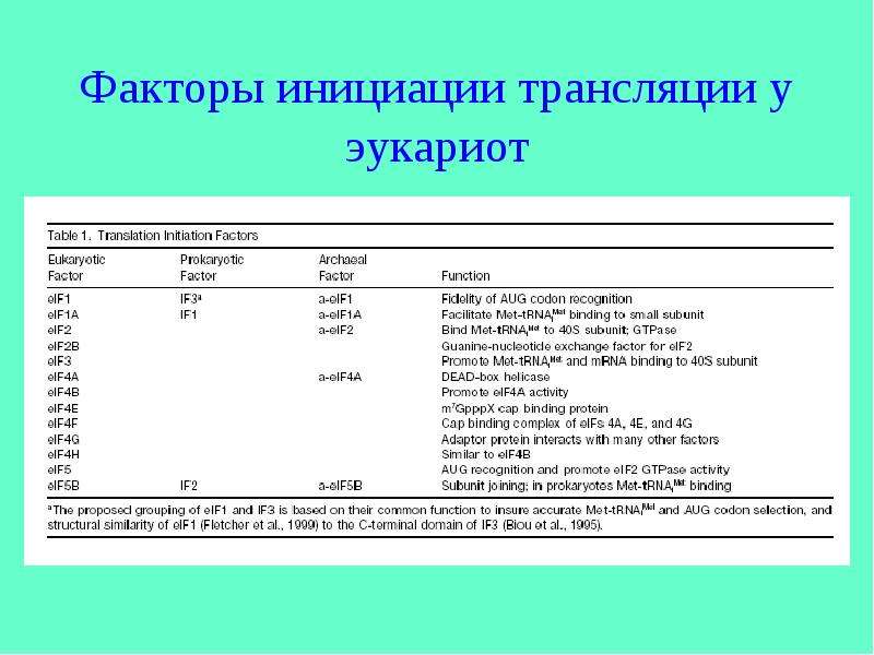 Факторы транскрипции эукариот. Факторы трансляции эукариот. Факторы инициации трансляции у эукариот. Факторы инициации трансляции. Белковые факторы трансляции эукариот.