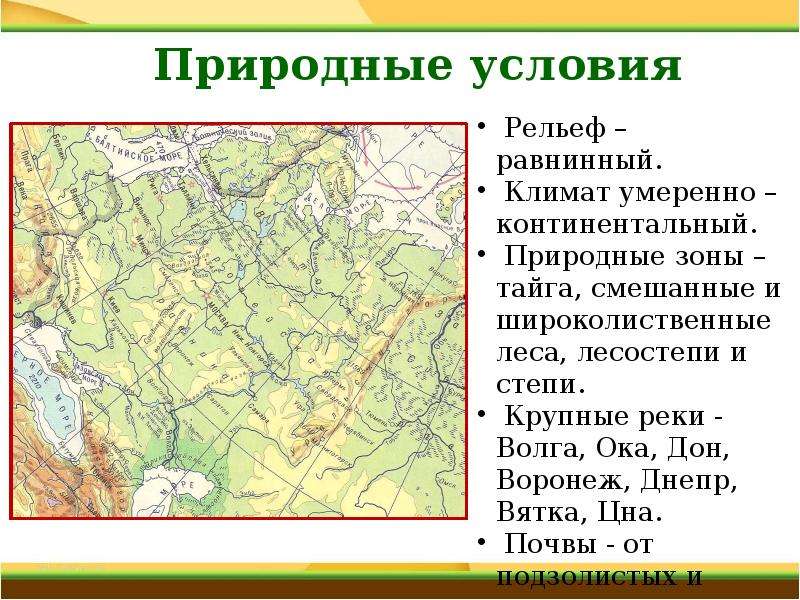 Рельеф природная зона. Природные условия рельеф. Рельеф смешанных лесов в России. Рельеф в смешанных лесах. Зона смешанных и широколиственных лесов рельеф.