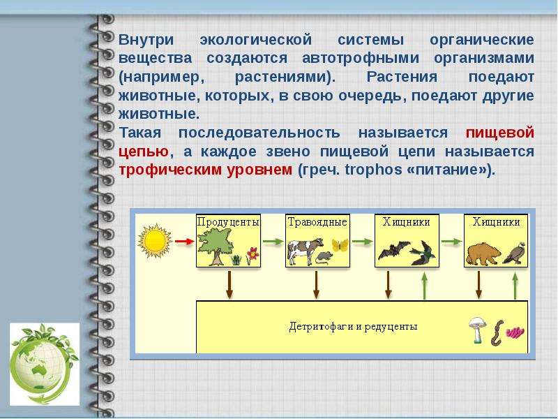 Передача токсичных веществ по пищевой цепи схема