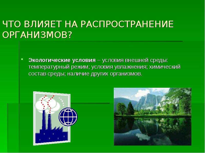 Условия окружающей среды. Что влияет на распространение организмов. Условиями среды или экологическими условиями. Влияние температуры на организмы экология. Экологический организм.