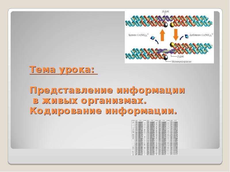 Презентация на тему представление информации