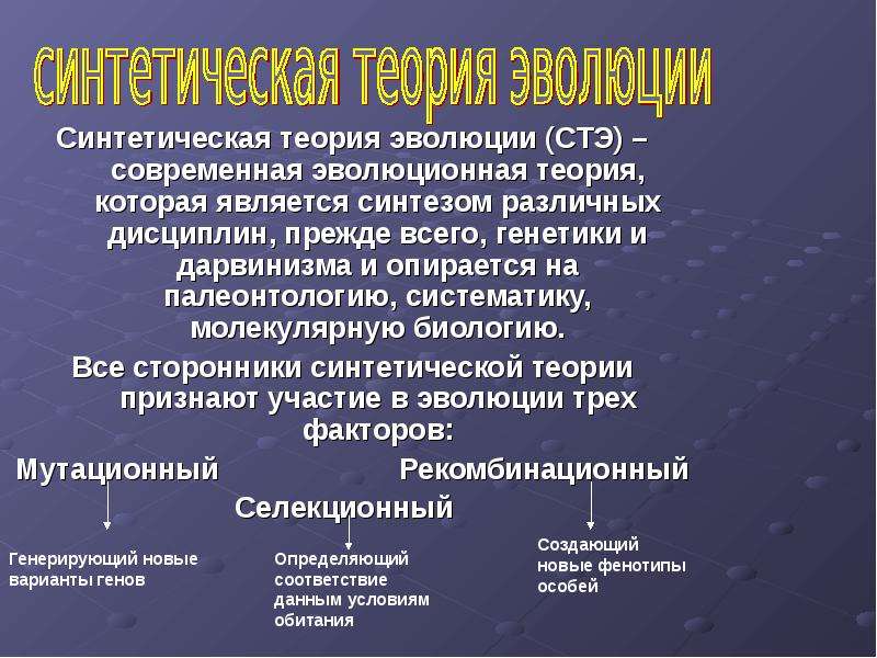 Синтетическая теория. Современная синтетическая теория. Современная эволюционная теория. Современное эволюционное учение. Основные понятия теории эволюции.