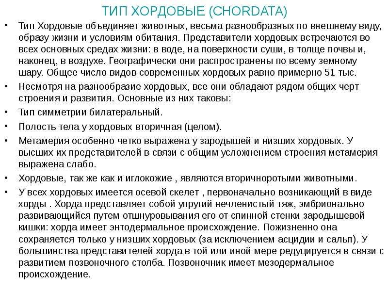 Характеристика хордовых. Хордовые характеристика. Общая характеристика хордовых. Характеристика типа Хордовые. Краткая характеристика хордовых.