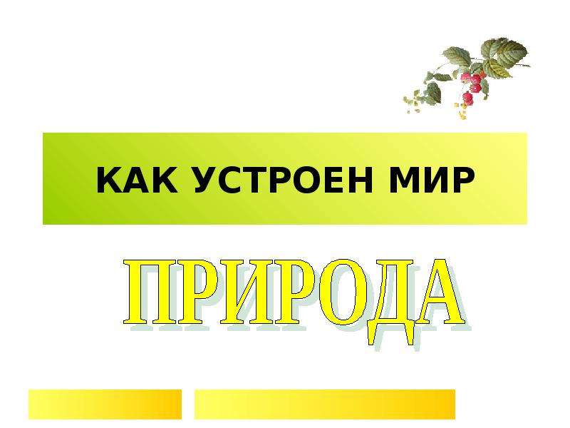 Как устроен мир. Как устроен мир презентация. Проект на тему как устроен мир. Как устроен мир сообщение. Как устроен мир растений.