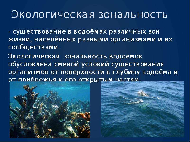 В водной среде достаточно. Экологическая зональность. Условия водной среды. Водная среда условия среды. Экологическая зональность водоемов.