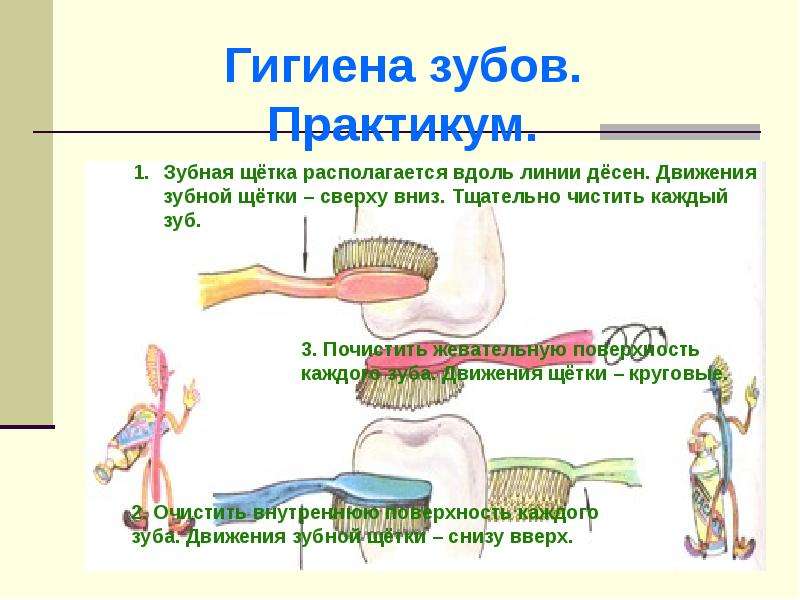 покажи стрелками движения зубной щетки