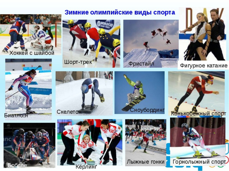 Зимние олимпийские виды спорта , слайд №18