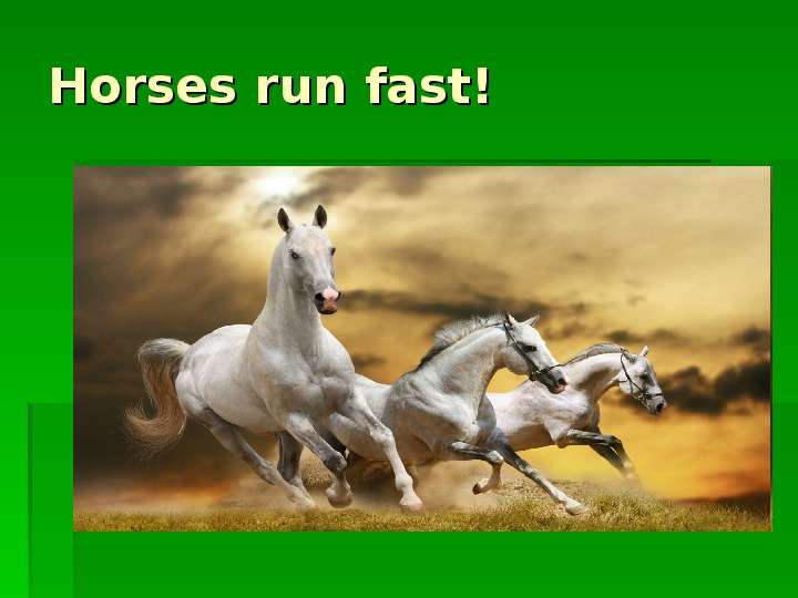 


Horses run fast!
