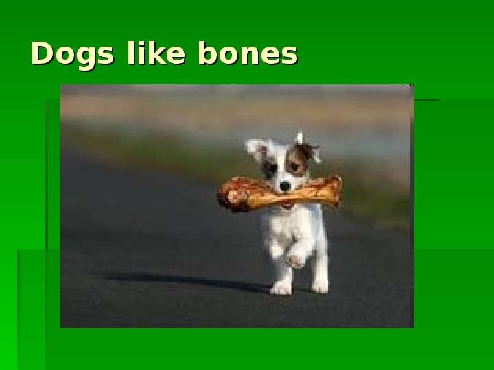 


Dogs like bones
