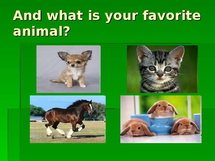 Domestic animals, слайд №23