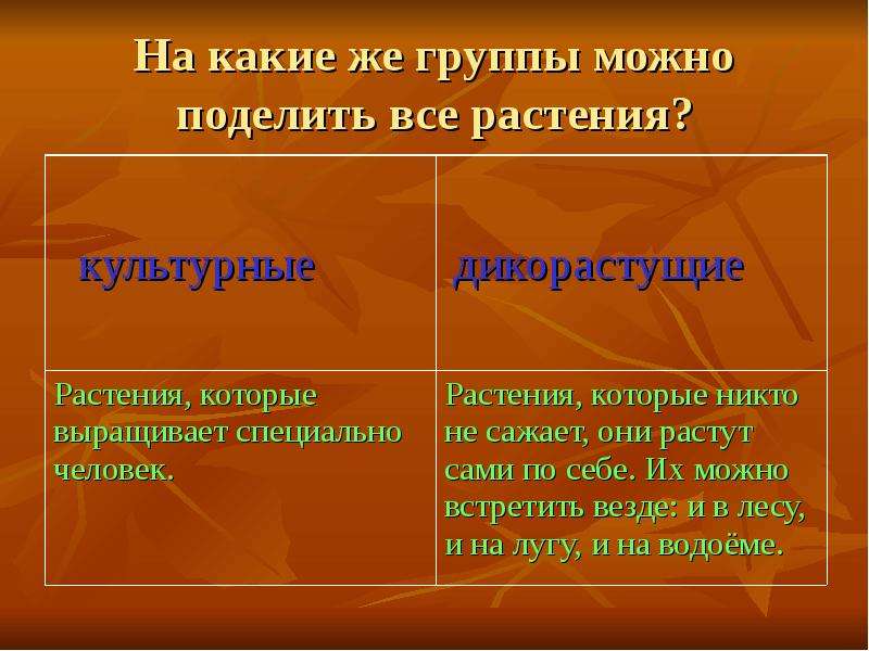 Что можно разделить. На какие группы можно разделить все растения. Растения которые никто не сажает они растут сами по себе. На какие группы можно разделить сказки. На какие 2 группы можно разделить растения.