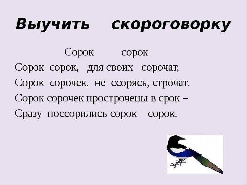 Сорок третьей. Сорок сорок скороговорка. Скороговорка про сороку. Скороговорки про сорок. Скороговорка сорок сорок для своих сорочат.