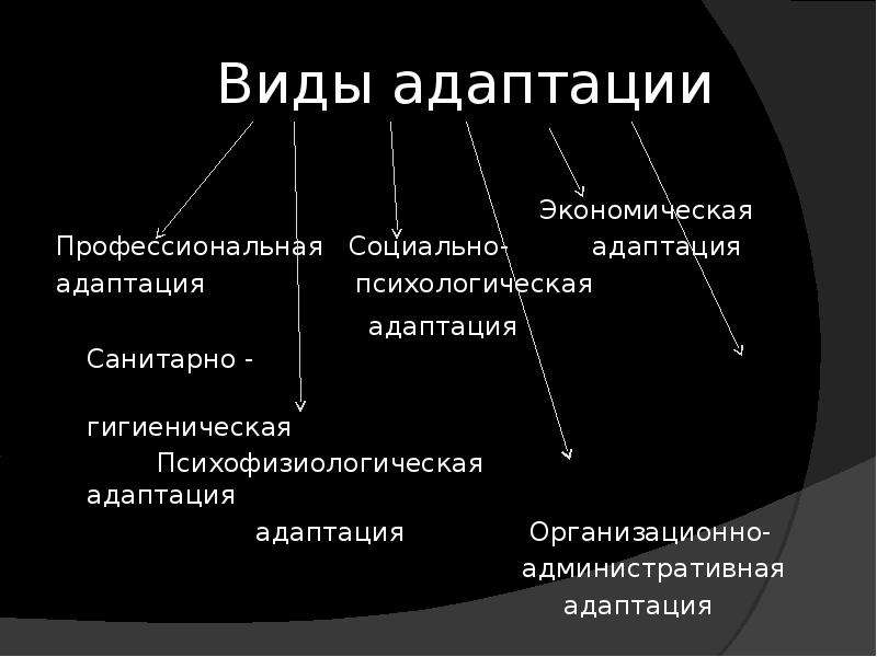 Виды адаптаций схема