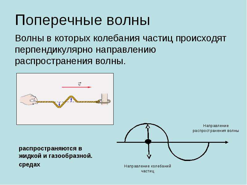 Механические колебания и волны звук. Направление колебаний частиц среды поперечной волны. Волновые явления механические волны. Поперечные волны распространяются. Перпендикулярно направлению распространения волны.