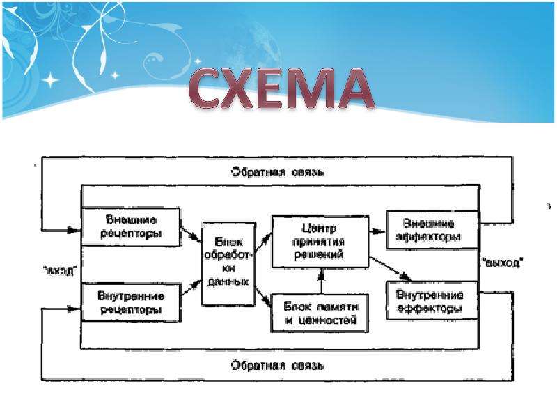 Схема дэвида истона