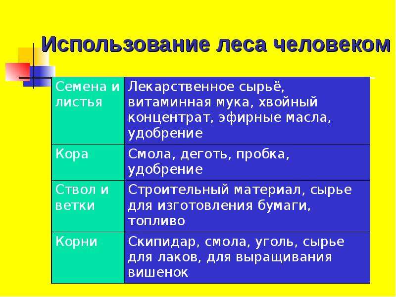 Лес и человек тест. Использование лесов человеком. Хозяйственное использование человеком леса. Леса России использование человеком. Использование человеком смешанного леса.