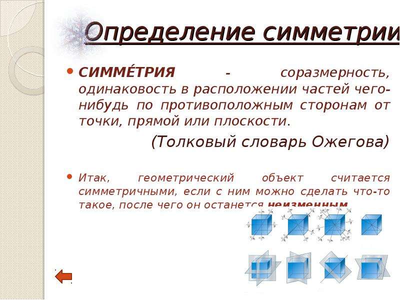 Проект на тему симметрия в жизни