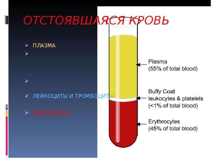 Плазма крови презентация